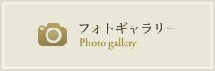フォトギャラリー