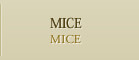 MICE