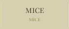 MICE