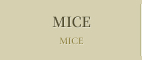 MICE